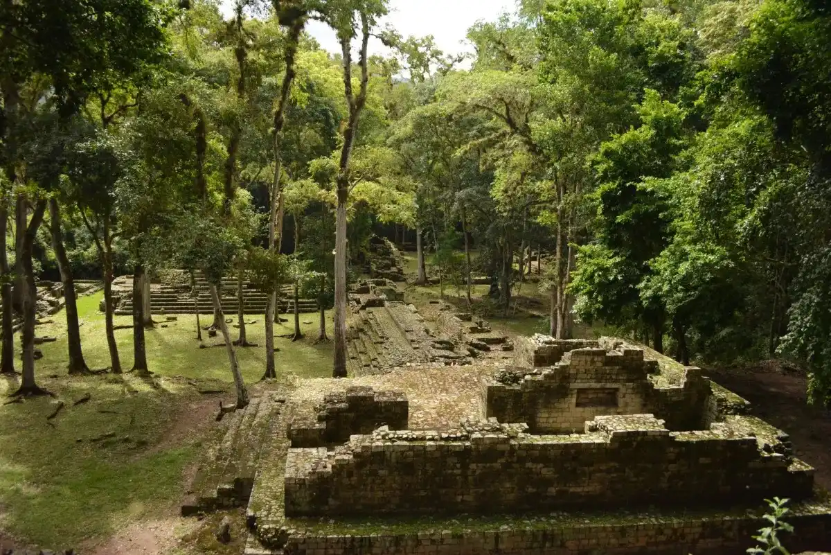 Forest-covered residential ruins near Copán on San Pedro Sula Mayan ruins tours