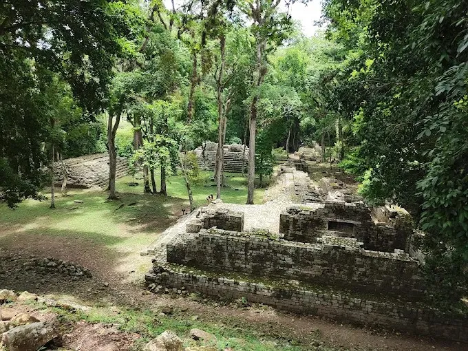 Stone platforms under forest trees at the Copán ruins, the site visited on San Pedro Sula Mayan ruins tours